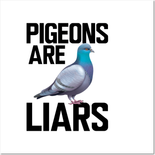 Pigeon - Pigeons are liars Posters and Art